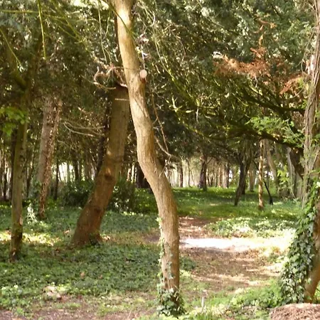 Chateau De Hieville 4*