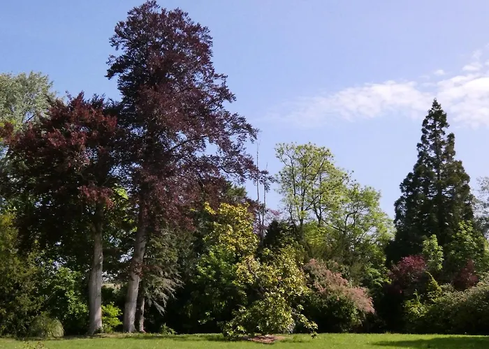 Guest house Chateau De Hieville Saint-Pierre-en-Auge